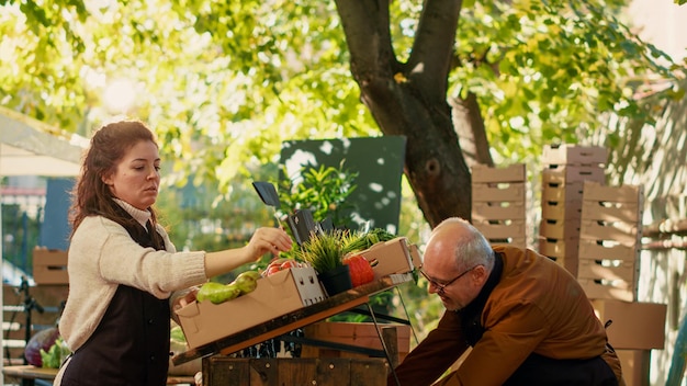 Free photo elderly person working with young woman at local farmers market, arranging boxes of produce and price tags on stand. senior farmer selling organic eco products, homegrown food.