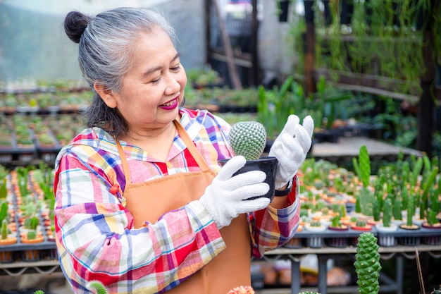 Sertifikat Kompetensi BNSP PELAKSANA BUDIDAYA ANGGREK