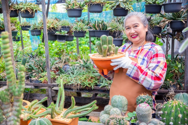 Elderly woman looking at integrity of cactus tree