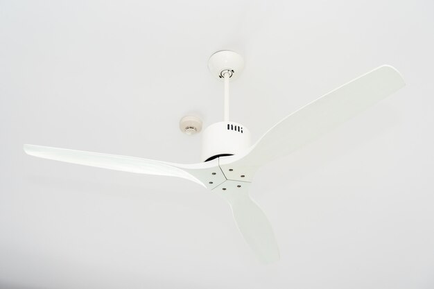 Electric ceiling fan decoration inteior