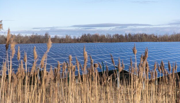 청정 생태 에너지 생산을 위한 패널이 있는 전기 농장