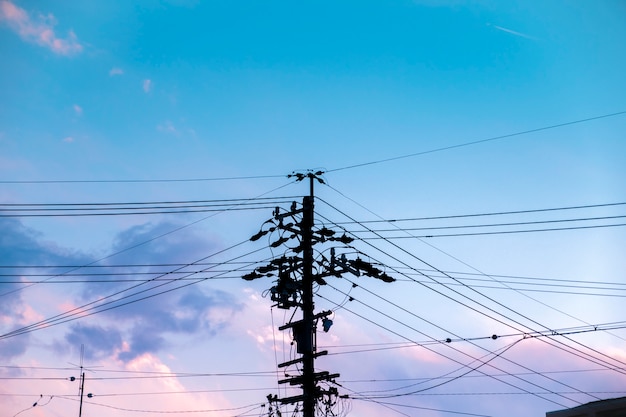 Electric power supply pole silhouette