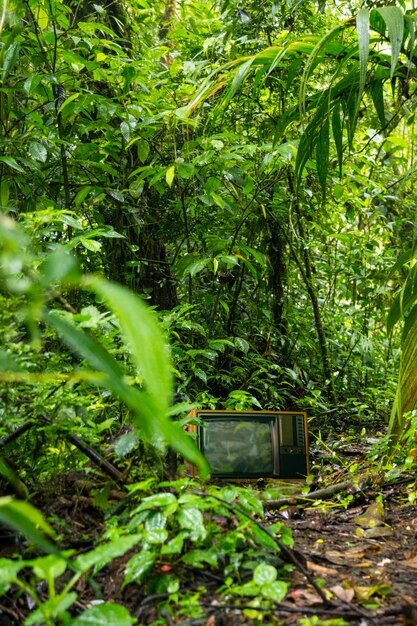 Electronic device surrounded by nature