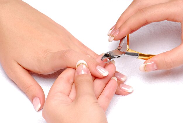 Elegance cuticle