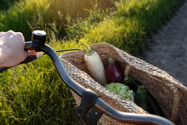 Foto gratuita elegante bicicletta in natura