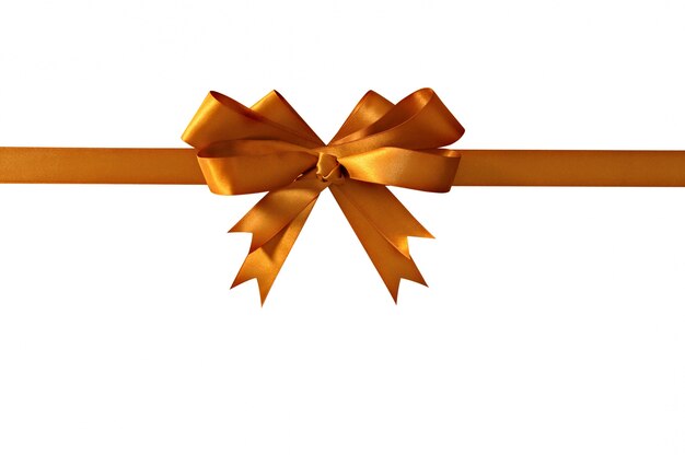 An elegant bow for gift wrapping
