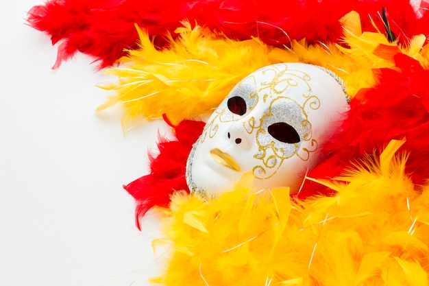 Бесплатное фото Элегантная карнавальная маска и перья