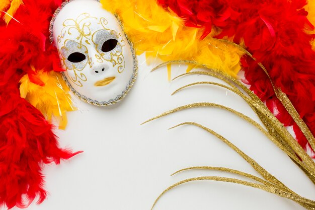 Foto gratuita elegante maschera di carnevale e piume