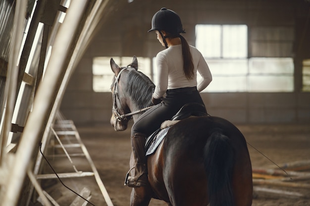 Elegant girl in a farm wiith a horse