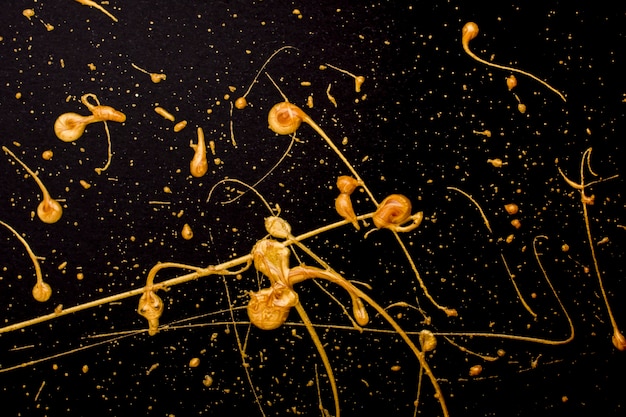 Elegant golden melted paint on black background