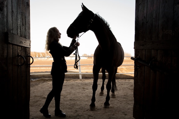 Elegant horse silhouette against dawn sky