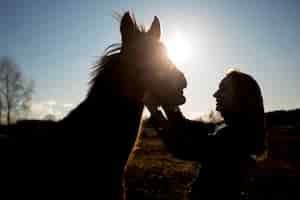 Foto gratuita siluetta elegante del cavallo contro il cielo dell'alba