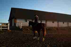 Free photo elegant horse silhouette against dawn sky