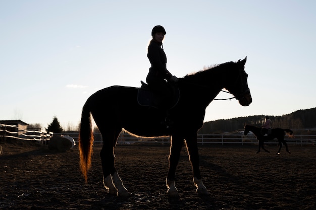 Foto gratuita siluetta elegante del cavallo contro il cielo dell'alba