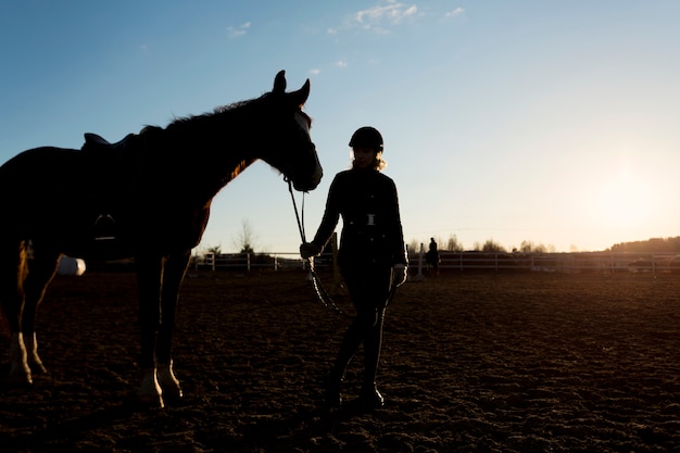 無料写真 夜明けの空に対してエレガントな馬のシルエット