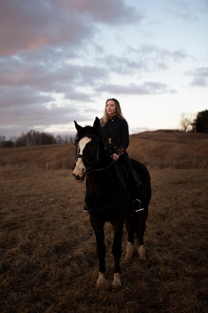 Elegant horse silhouette against dawn sky