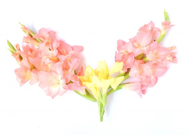 エレガントなライトピンクの花の多目的背景