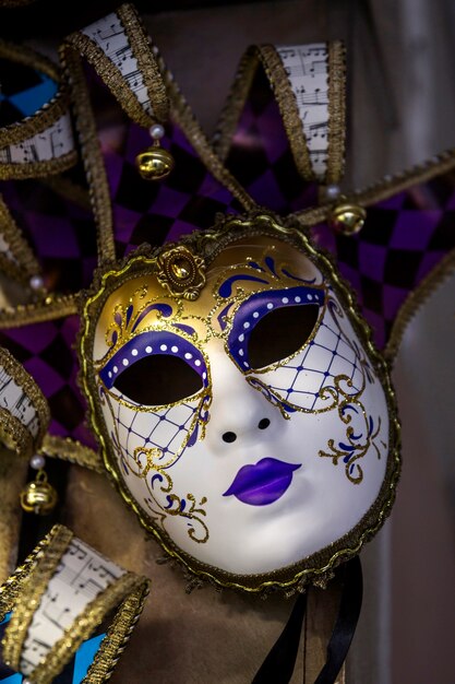 Elegant mask of venetian carnival