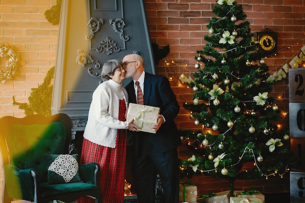エレガントな老夫婦がクリスマスを祝っています