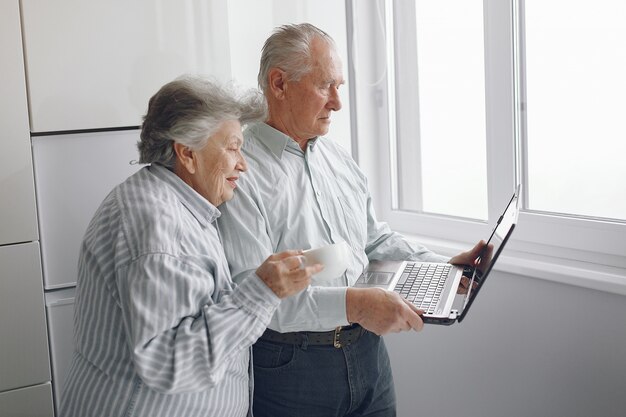 Elegant old couple at home using a laptop