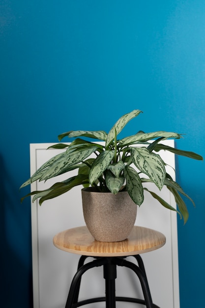エレガントな植物の装飾の花瓶