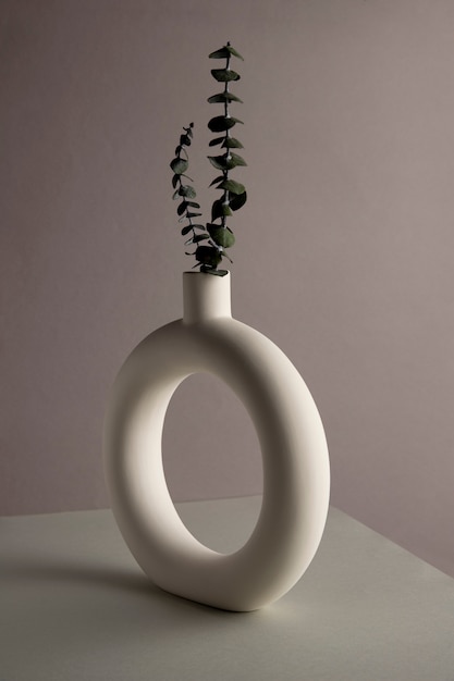 Elegant plants decoration vase