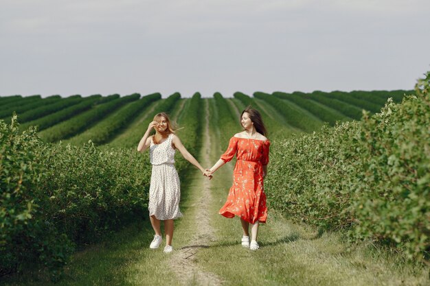 Elegant and stylish girls in a summer field