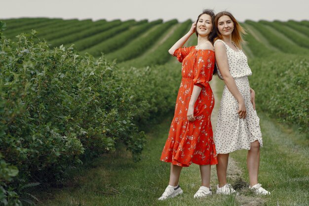 Elegant and stylish girls in a summer field