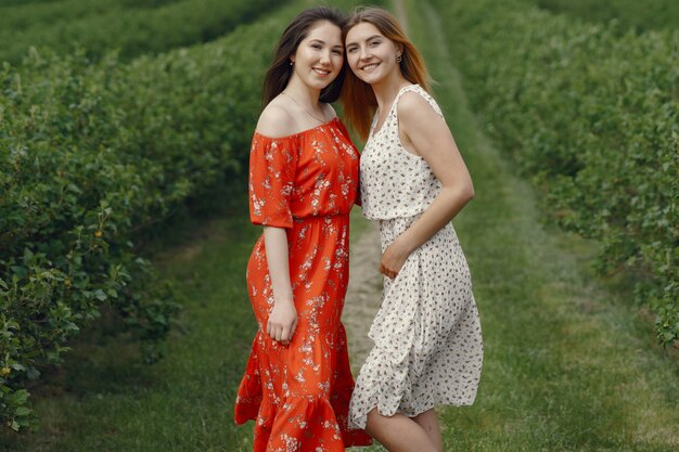 Elegant and stylish girls in a summer field