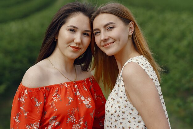 Elegant and stylish girls in a summer field