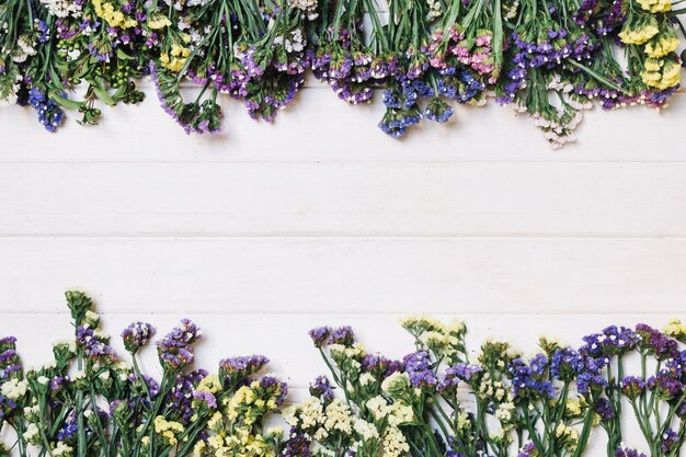 Elegant violet flowers