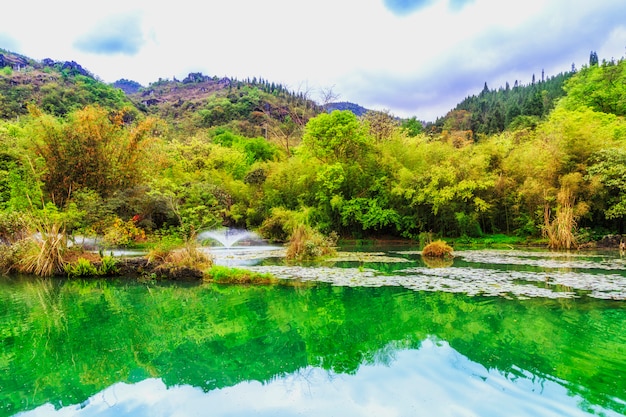 Free photo elephant river natural water nine mist