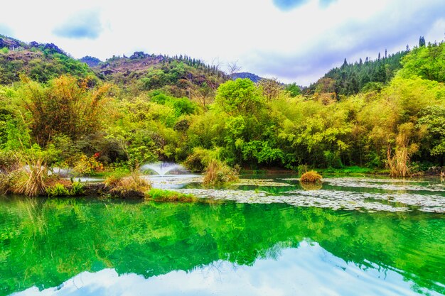 Слон река естественная вода девять туман