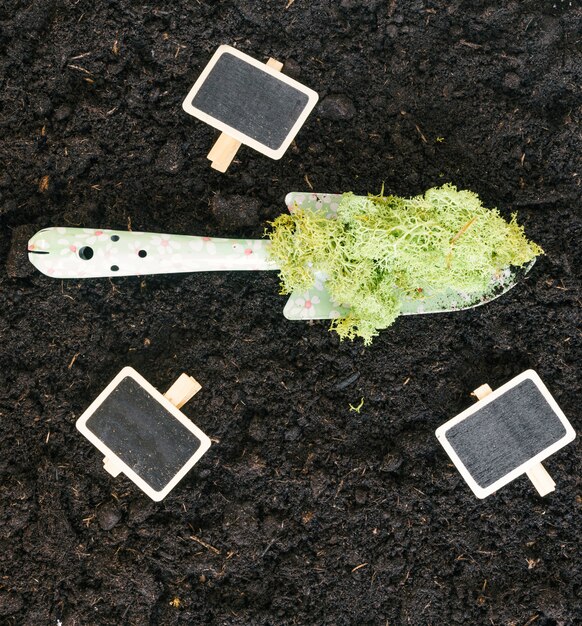 Elevated view of blank slate; moss on shovel over black dirt