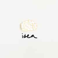 Free photo elevated view of brain with idea word on white background