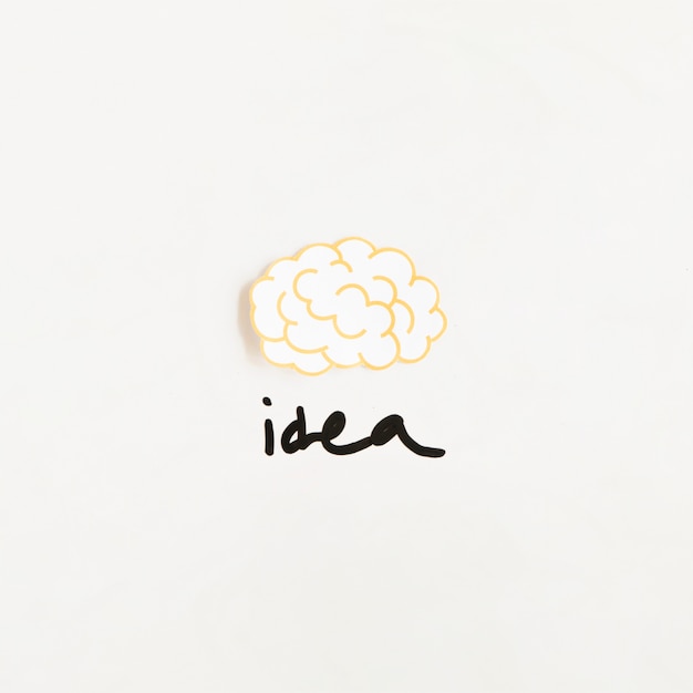 Elevated view of brain with idea word on white background