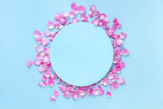 Elevated view of circular frame surrounded with pink rose petals over blue background