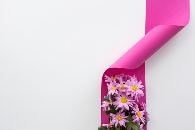 Free photo elevated view of daisy flowers on pink twisted ribbon