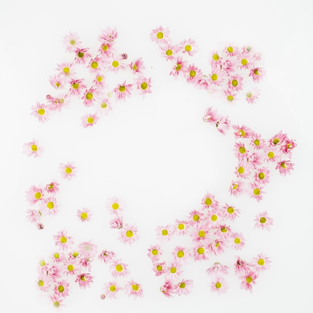 Elevated view of decorative flowers on white surface