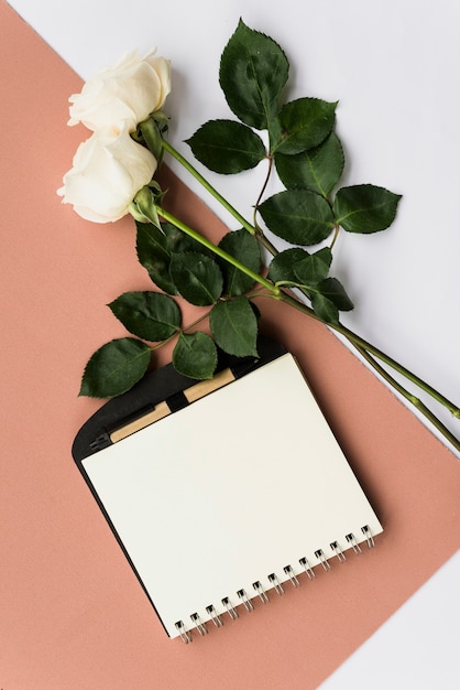 Free photo elevated view of diary and white roses on dual background