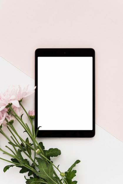 Elevated view of digital tablet and fresh flowers on dual background