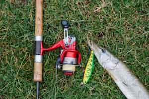 Free photo elevated view of fishing rod with hook in the fish on green grass