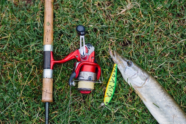 Elevated view of fishing rod with hook in the fish on green grass