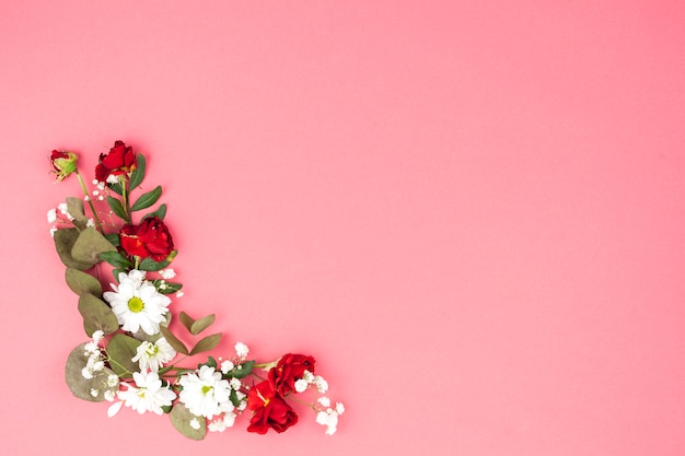 Elevated view of flowers and leaf decorated on peach background