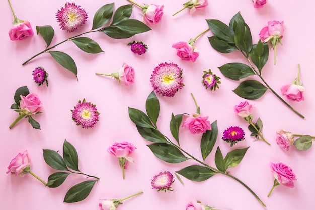 Elevated view of flowers and leaves on pink surface