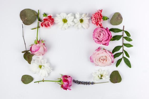 Elevated view of frame made with colorful flowers and leaf over white background