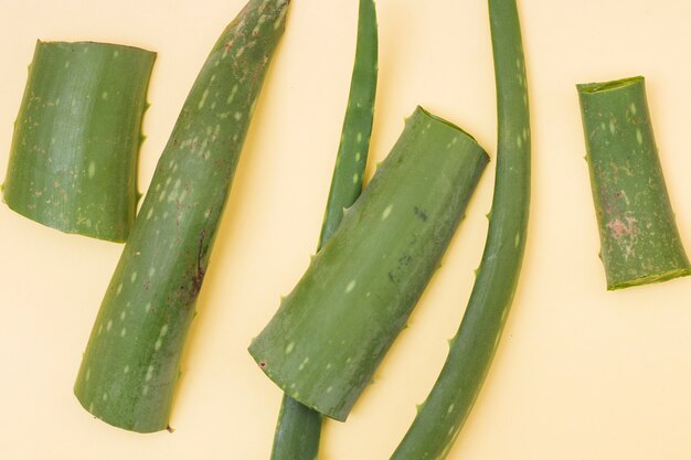 An elevated view of fresh aloe vera leaves on beige background