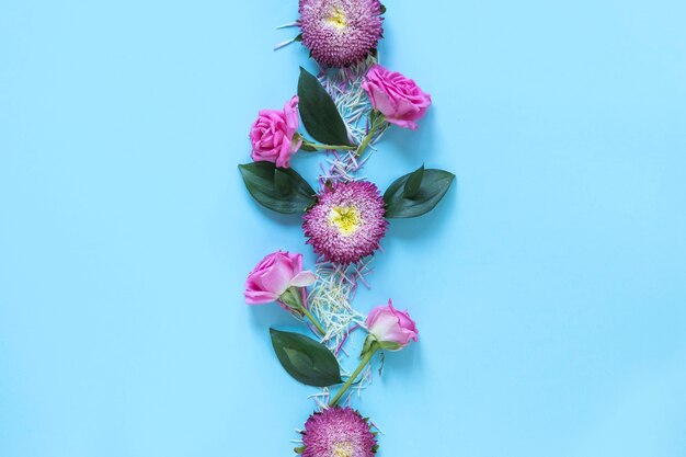 Elevated view of fresh pink flowers on blue surface