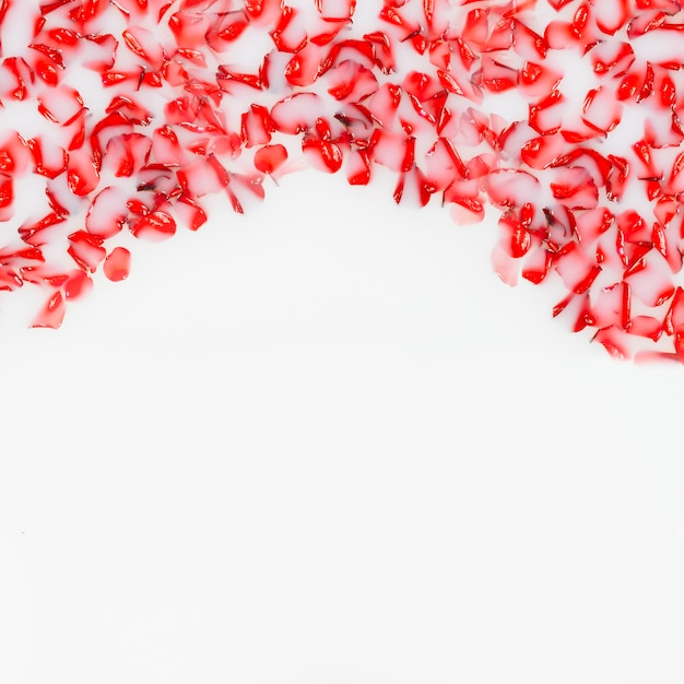 Elevated view of fresh red petals floating on water