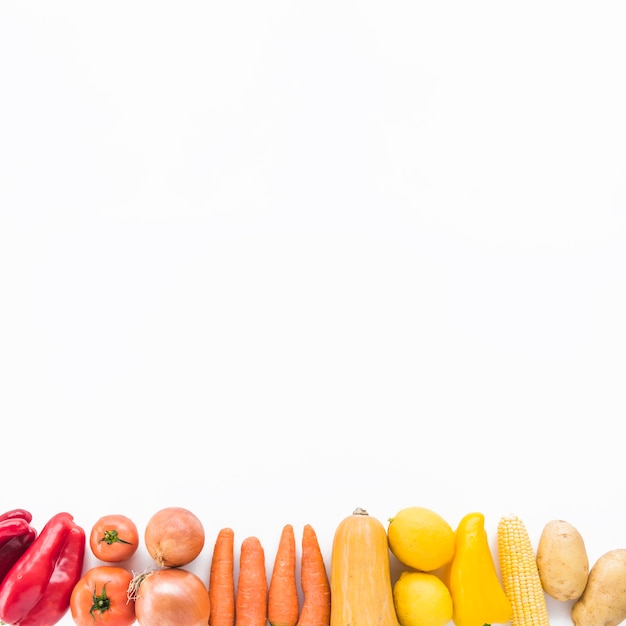 Elevated view of fresh vegetables at the bottom of white background